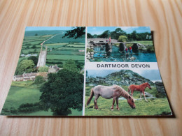 Dartmoor (Royaume-Uni).Vues Diverses. - Dartmoor