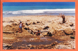 16245 / WALLIS Et FUTUNA Plage Après Cyclone 1990s Photographie 15x10cm - Wallis Et Futuna