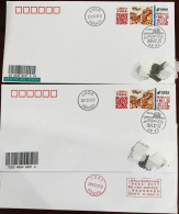 China Cover 20240202 Northern Xiaonian Actual Sending Jin 2023-4 China Year In Xinzhou TS71 - Cartes Postales