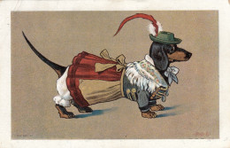 Dackel Teckel Bassotto Dachshund Dog Dressed Like A Woman Old Postcard Signed P.O.Engelhard 1908 - Engelhard, P.O. (P.O.E.)