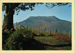 64. LA RHUNE Majestueuse Depuis Les Environs De SARE (voir Scan Recto/verso) - Sare