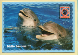 Animaux : Dauphins / 2 Dauphins / Mille Bisous !!! (voir Scan Recto/verso) - Dauphins