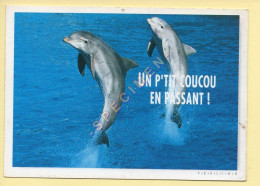 Animaux : Dauphins / 2 Dauphins / Un Petit Coucou En Passant ! (voir Scan Recto/verso) - Dauphins