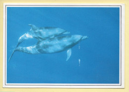 Animaux : Dauphins / 2 Dauphins / Pas De Deux (voir Scan Recto/verso) - Dauphins