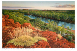 Postcard Australia Western Australia Eucalyptus Forest And Fortescue River - Otros & Sin Clasificación
