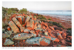 Postcard Australia South Australia Lake Gairdner - Altri & Non Classificati