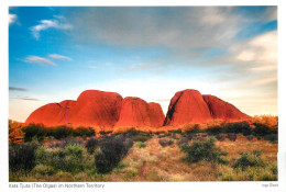 Postcard Australia Northern Territory Kata Tjuta The Olgas - Unclassified
