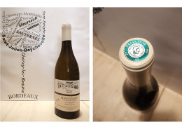 Marsannay 2018 - Les Favières - Domaine Bart - 1 X 75 Cl - Blanc - Vino