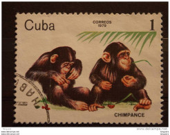 Cuba 1979 Chimpanzès Chimpansee Yv 2156 O - Oblitérés