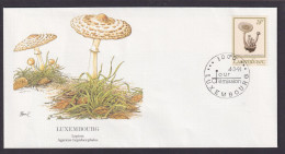 Luxemburg Fauna Pilz Lepiota Schöner Künstler Brief - Covers & Documents