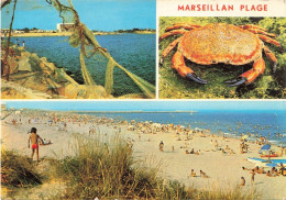 FRANCE - Marseillan - L'hôtel Du Crabe Vu De La Jetée Et La Plage - Carte Postale - Marseillan