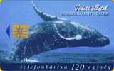 Hungary - P1998-24 - Whale - Hosszúszárnyú Bálna - Hongrie