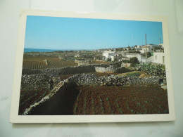 Cartolina "STRADA DI S. GREGORIO  ( LE )" - Lecce