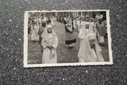 BOOM: Maria Ommegang - Hogepriesters En Tempelmaagden - Boom