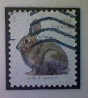 United States, Scott #5544, Used(o), 2021 Definitive, Brush Rabbit, (20¢), Gray - Used Stamps