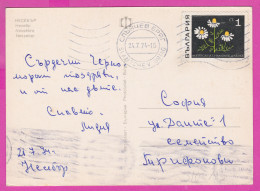 310113 / Bulgaria - Nessebar - Church Windmill Port Boat PC 1974 Sunny Beach Used 1 St. Matricaria Medicinal Plant - Plantes Médicinales