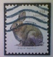 United States, Scott #5544, Used(o), 2021 Definitive, Brush Rabbit, (20¢), Gray - Gebraucht
