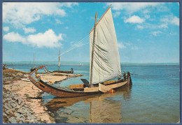 Aveiro - Ria De Aveiro. Barco Moliceiro - Aveiro