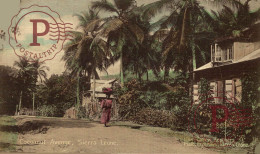 SIERRA LEONA. SIERRA LEONE. COCOANUT AVENUE. - Sierra Leone