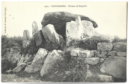 PLOUHARNEL - Dolmen De Kergavat - Dolmen & Menhirs