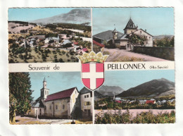 CPM. 15 X 10,5 -  Souvenir De PEILLONNEX - Peillonnex