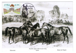 Carte Maximum Corrèze 1er Jour Le Haras Du Pin Arnac Pompadour  Orne Tête De Cheval - Collections, Lots & Séries