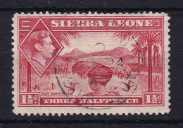 Sierra Leone: 1938/44   KGVI    SG190     1½d   Scarlet   Used - Sierra Leone (...-1960)