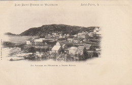 Iles Saint Pierre Et Miquelon Un Village De Pecheurs à Terre Neuve édition A M Bréhler Avant 1903 - San Pedro Y Miquelón