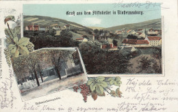 Klosterneuburg - Gruss Aus Dem Stiftskeller , Thomas Hiegl 1904 - Klosterneuburg