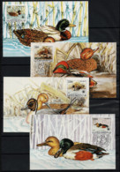 3529 Yugoslavia 1989 Protected Animal, Ducks MC - Maximumkaarten