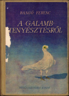 A Galambtenyésztésről, Cikkgyűtemény (1928-1960), Bangó Ferenc, 1964 C4365N - Libros Antiguos Y De Colección