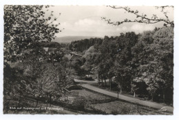 3261 Uchtdorf Rinteln Weser Blick Auf Hupengrund Und Taubenberg 1958 Schaumburg - Rinteln