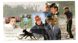 Virgin Islands 2000 Sheet Prince William/Royals Stamps (Michel Block 100) MNH - Britse Maagdeneilanden