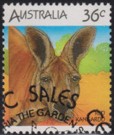 1986 Australien ° Mi:AU 988, Sn:AU 992a, Yt:AU 964, Sg:AU 1023, Un:AU 1015, Sev:AU 1029, Red Kangaroo (Osphranter Rufus) - Gebruikt