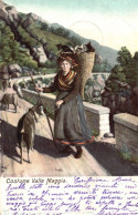 Costume Ticinese Valle Maggia, Chèvre, Capre. - Giubiasco