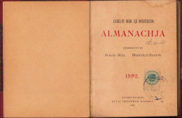 Erdélyi Irok és Müvészek Almanachja Szerkesztettek Fekete Béla és Miskolczi Henrik, 1892, Budapest C4328N - Libros Antiguos Y De Colección