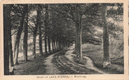 PAYS BAS - Groet Uit Laag Soeren -  Bosohweg - Carte Postale Ancienne - Other & Unclassified