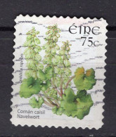 Q0665 - IRLANDE IRELAND Yv N°1703 - Used Stamps