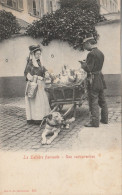 Bruxelles La Laitière Flamande Et Attelage De Chien Une Contravention édition Beyaert Filleul N°3957 Les Pots De Lait - Artesanos