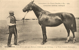 Hippisme * La France Chevaline N°84 1909 * Concours Centrale Hippique * Cheval BAYADERE Baie Jument Normandes - Horse Show