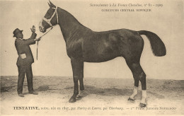 Hippisme * La France Chevaline N°81 1909 * Concours Centrale Hippique * Cheval TENTATIVE Noire Jument Normande - Horse Show