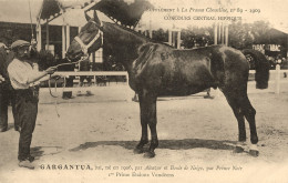 Hippisme * La France Chevaline N°89 1909 * Concours Centrale Hippique * Cheval GARGANTUA Bai étalon Vendéen Vendée - Horse Show
