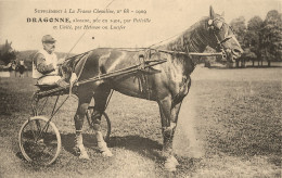 Hippisme * La France Chevaline N°68 1909 * Concours Centrale Hippique * Cheval DRAGONNE Alezane Jockey - Paardensport