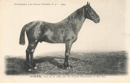 Hippisme * La France Chevaline N°4 1909 * Concours Centrale Hippique * Cheval NIGER Noir - Paardensport