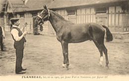 Hippisme * La France Chevaline N°32 1909 * Concours Centrale Hippique * Cheval FLAMBEAU Bai - Paardensport