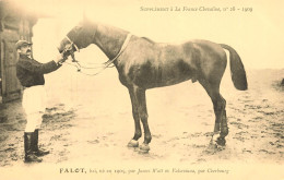 Hippisme * La France Chevaline N°28 1909 * Concours Centrale Hippique * Cheval FALOT Bai - Paardensport