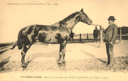 Hippisme * La France Chevaline N°24 1909 * Concours Centrale Hippique * Cheval CYMBALIER Alezan - Paardensport