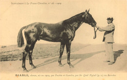 Hippisme * La France Chevaline N°26 1909 * Concours Centrale Hippique * Cheval DIABLE Alezan - Reitsport