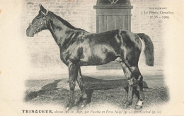Hippisme * La France Chevaline N°16 1909 * Concours Centrale Hippique * Cheval TRINQUEUR Alezan - Paardensport