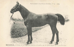 Hippisme * La France Chevaline N°14 1909 * Concours Centrale Hippique * Cheval RESEDA Bai Brun - Paardensport